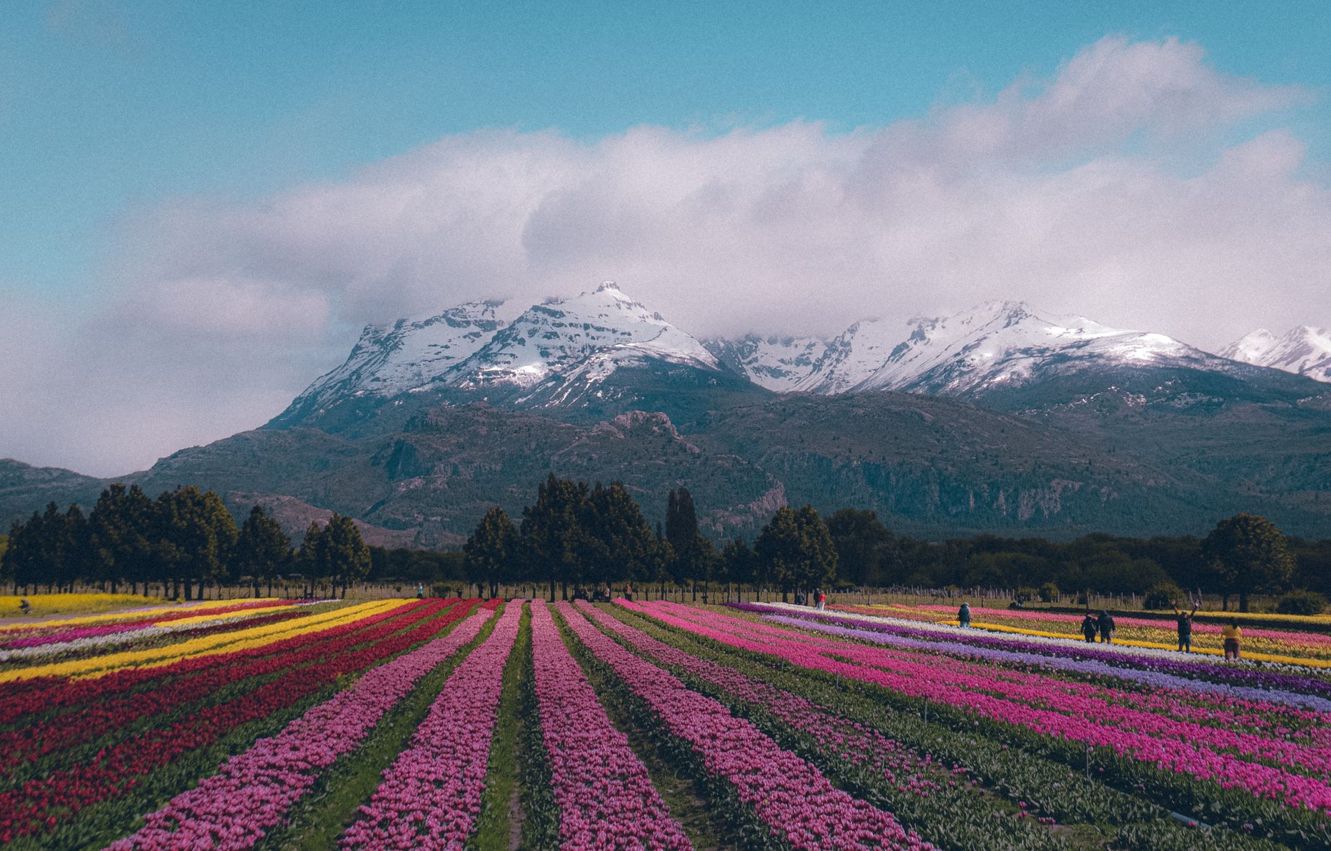 Puerto Madryn, Esquel y Bariloche