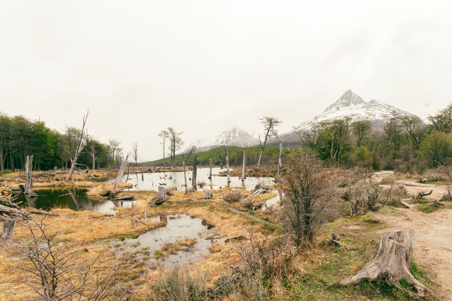 Ushuaia, naturaleza & aventura