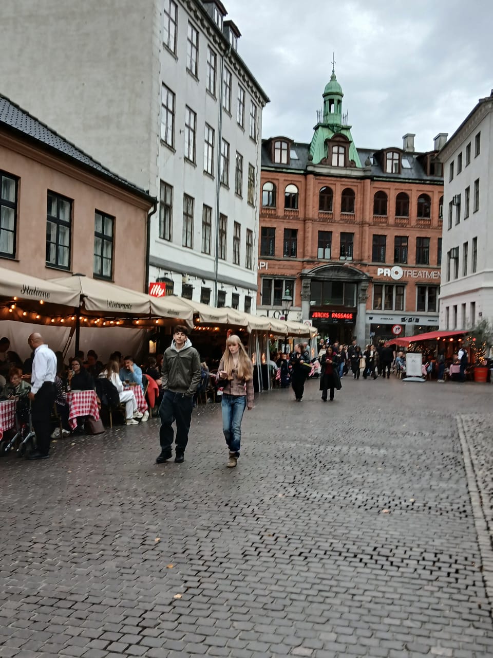 Países Bálticos y Copenhague